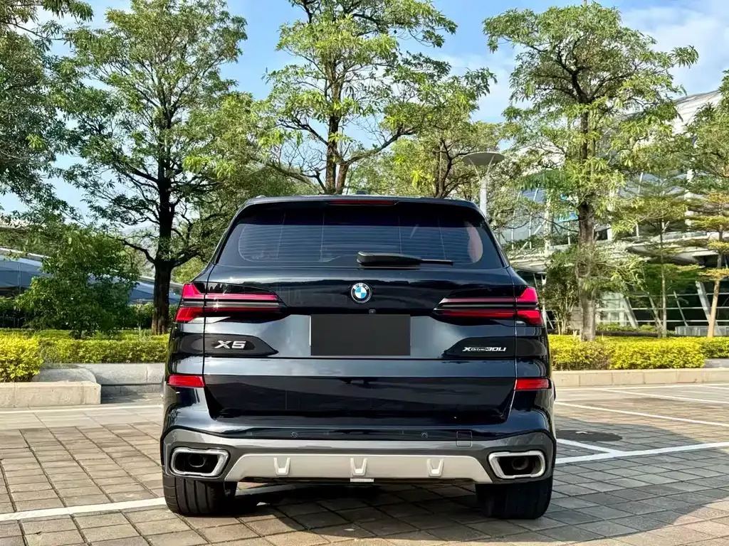 BMW X5 2024 из CN, фото 8