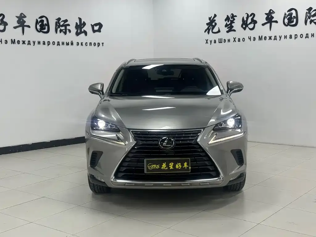 Lexus NX 2021 из CN, фото 2