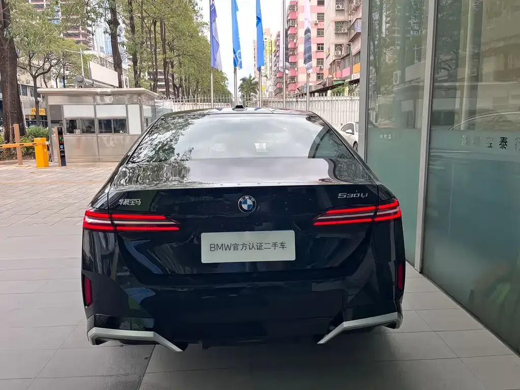 BMW 5 Series 2025 из CN, фото 9