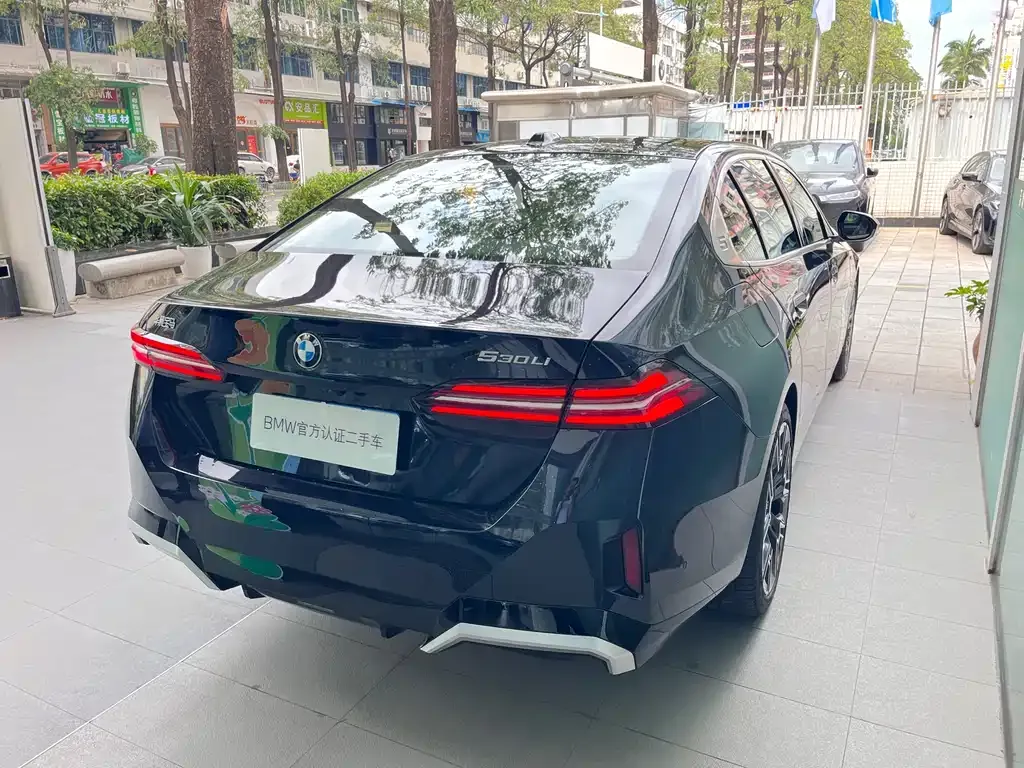 BMW 5 Series 2025 из CN, фото 8