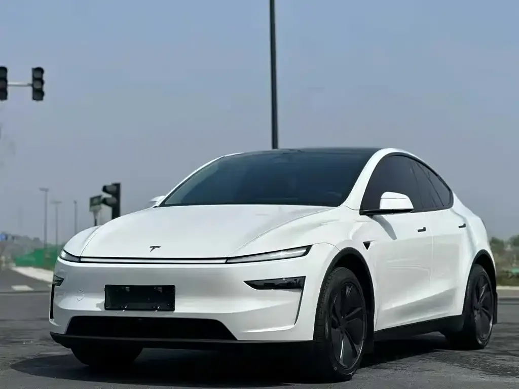 Tesla Model Y — фото 5