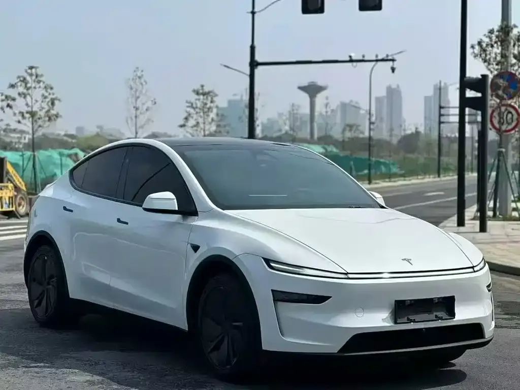 Tesla Model Y — фото 2