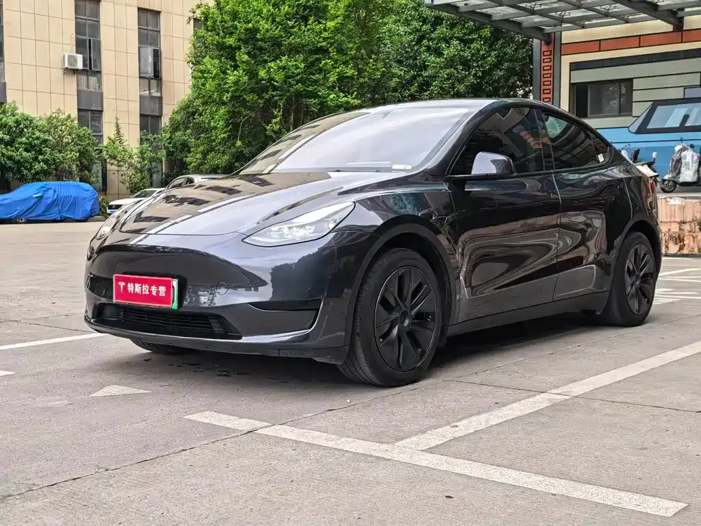 Tesla Model Y — фото 1