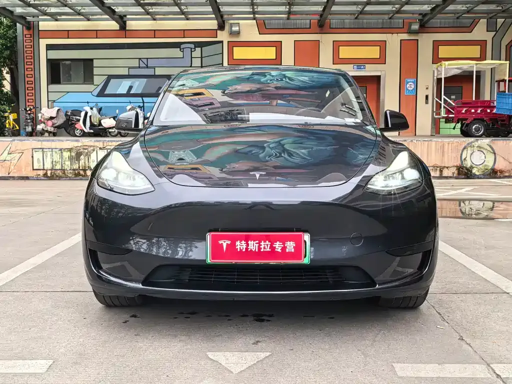 Tesla Model Y — фото 7
