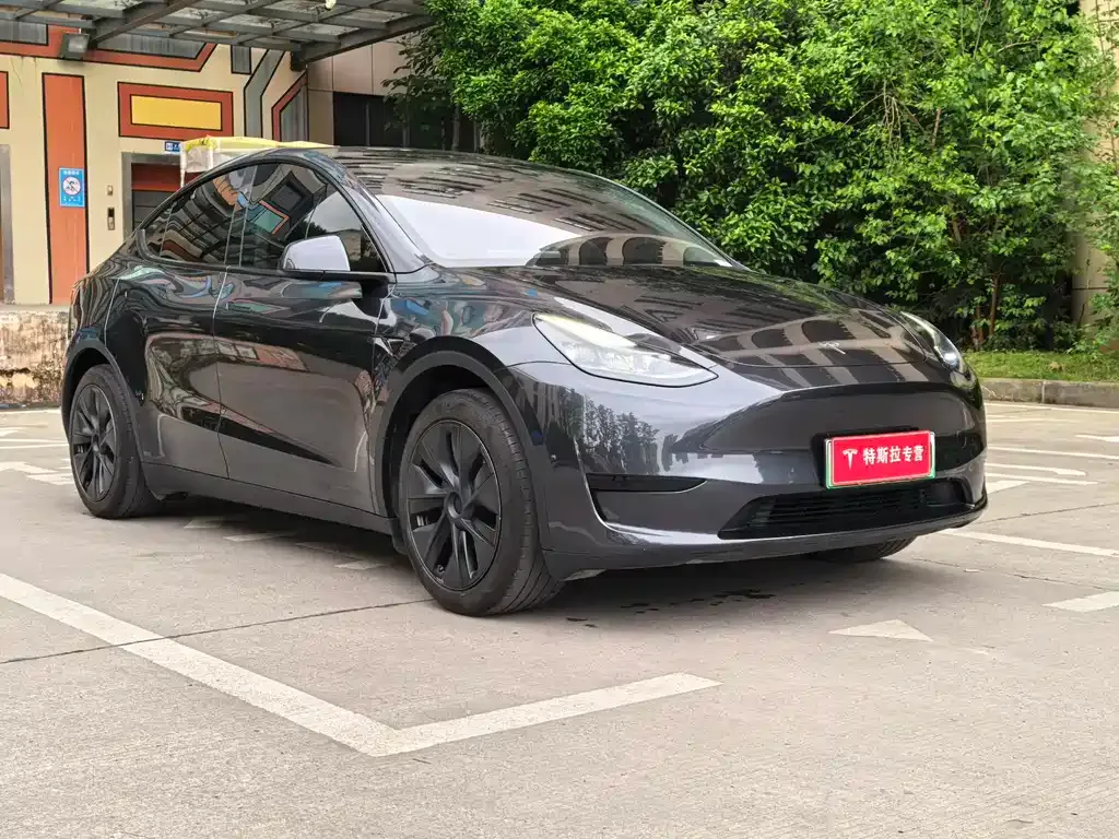 Tesla Model Y — фото 10