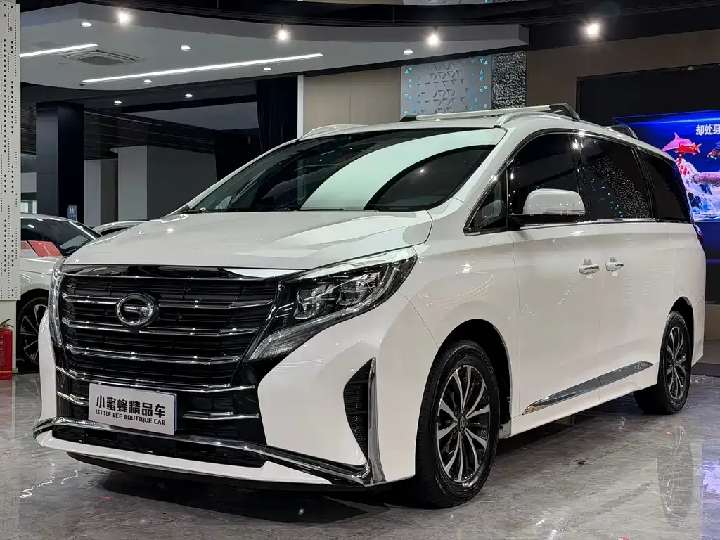 GAC Motor Trumpchi M8 2021 из CN, фото 1