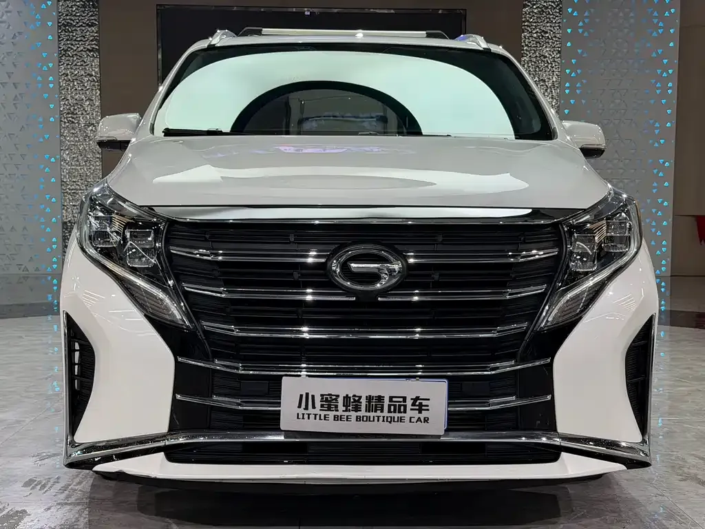 GAC Motor Trumpchi M8 2021 из CN, фото 9