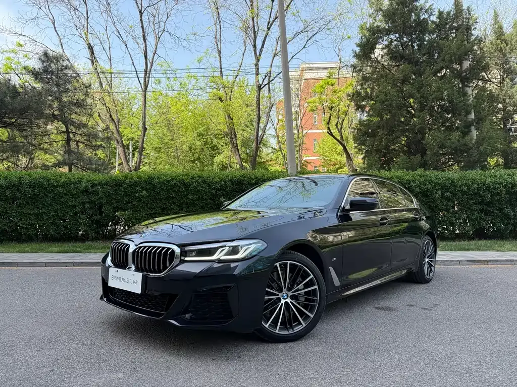 BMW 5 Series 2023 из CN, фото 1