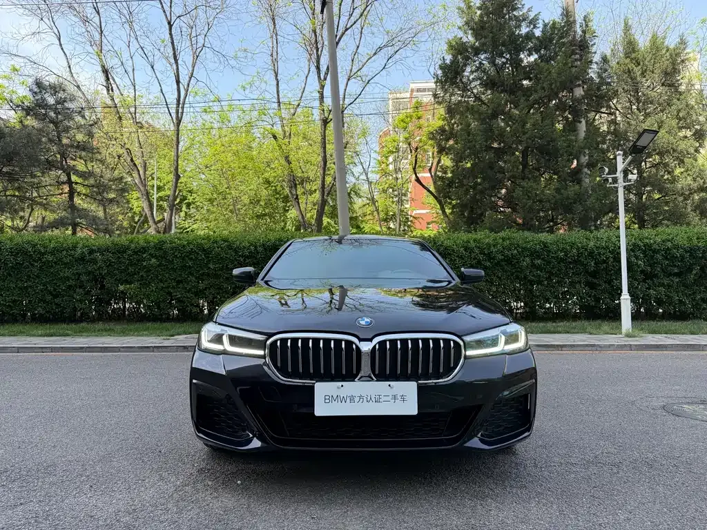 BMW 5 Series 2023 из CN, фото 7