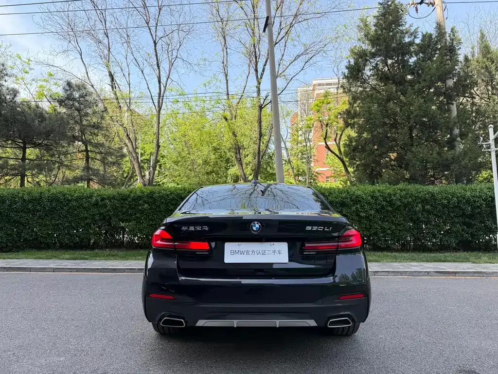 BMW 5 Series 2023 из CN, фото 9