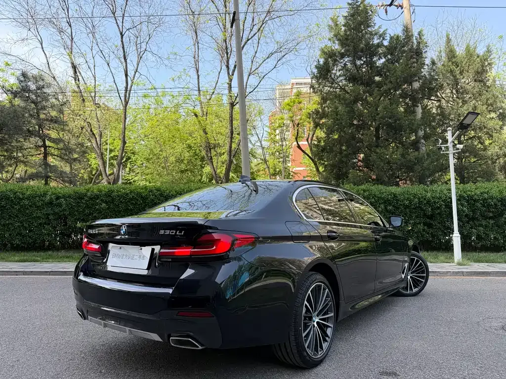 BMW 5 Series 2023 из CN, фото 8