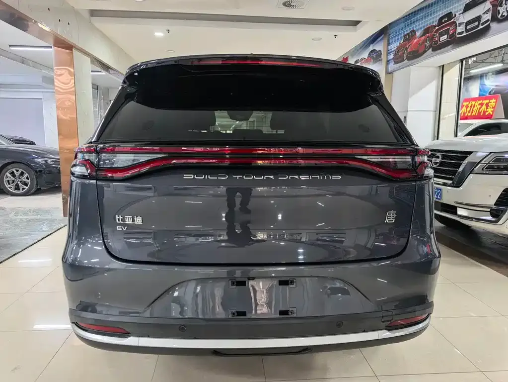 BYD Tang New Energy — фото 10
