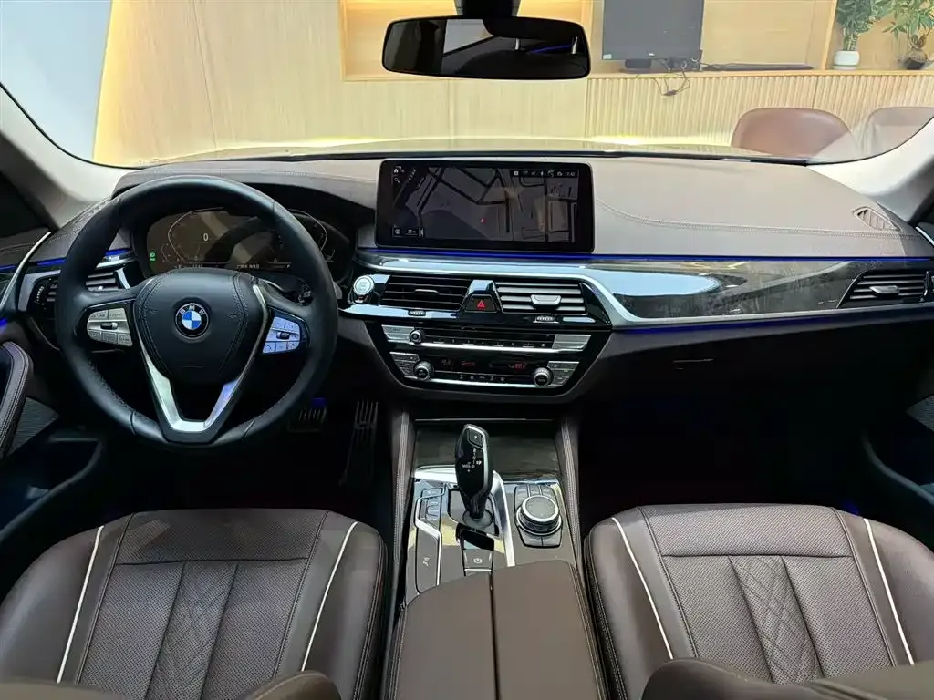 BMW 5 Series 2022 из CN, фото 6