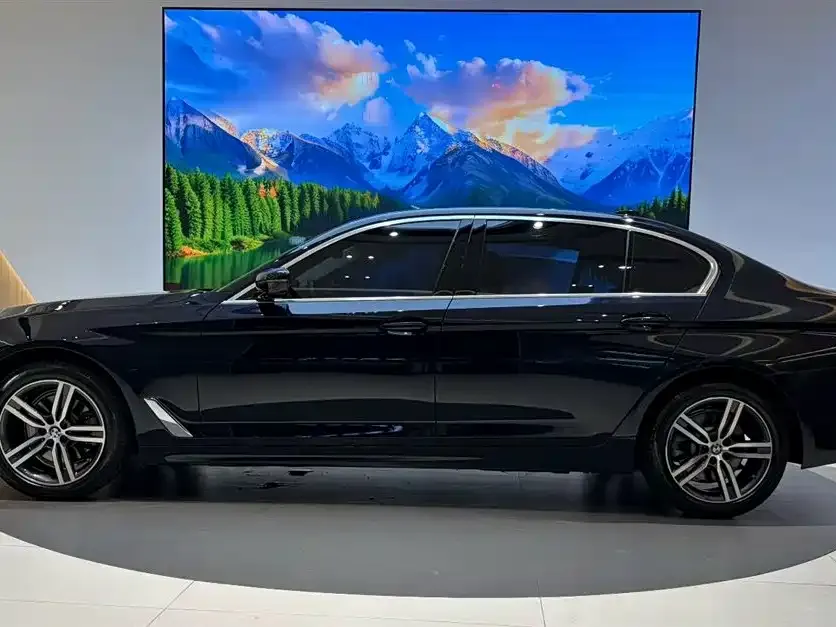 BMW 5 Series 2022 из CN, фото 4