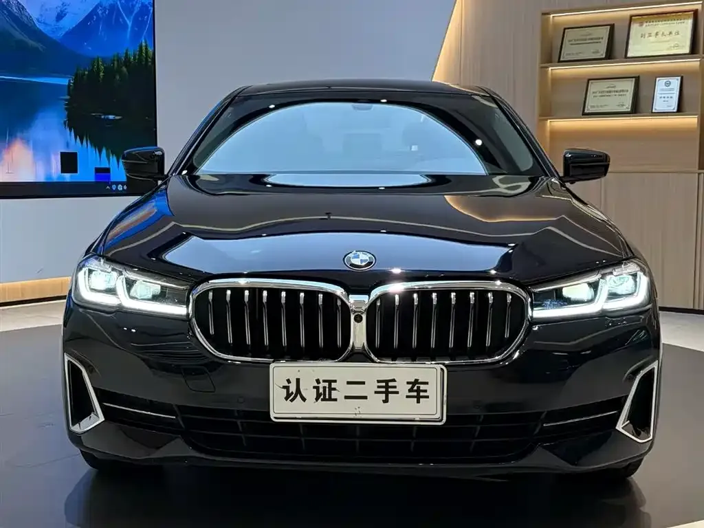 BMW 5 Series 2022 из CN, фото 5