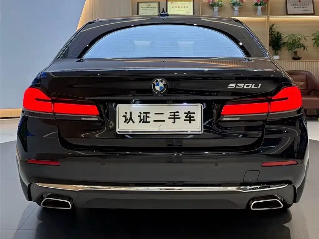 BMW 5 Series 2022 из CN, фото 3