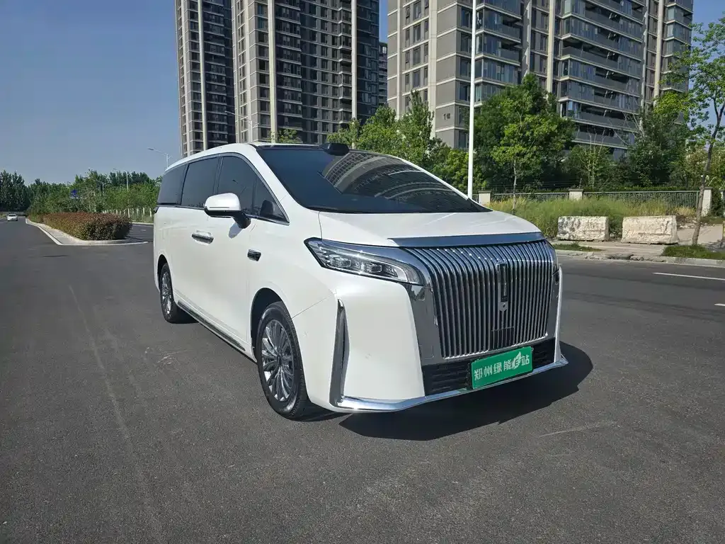 Wey Gaoshan 2025 из CN, фото 8