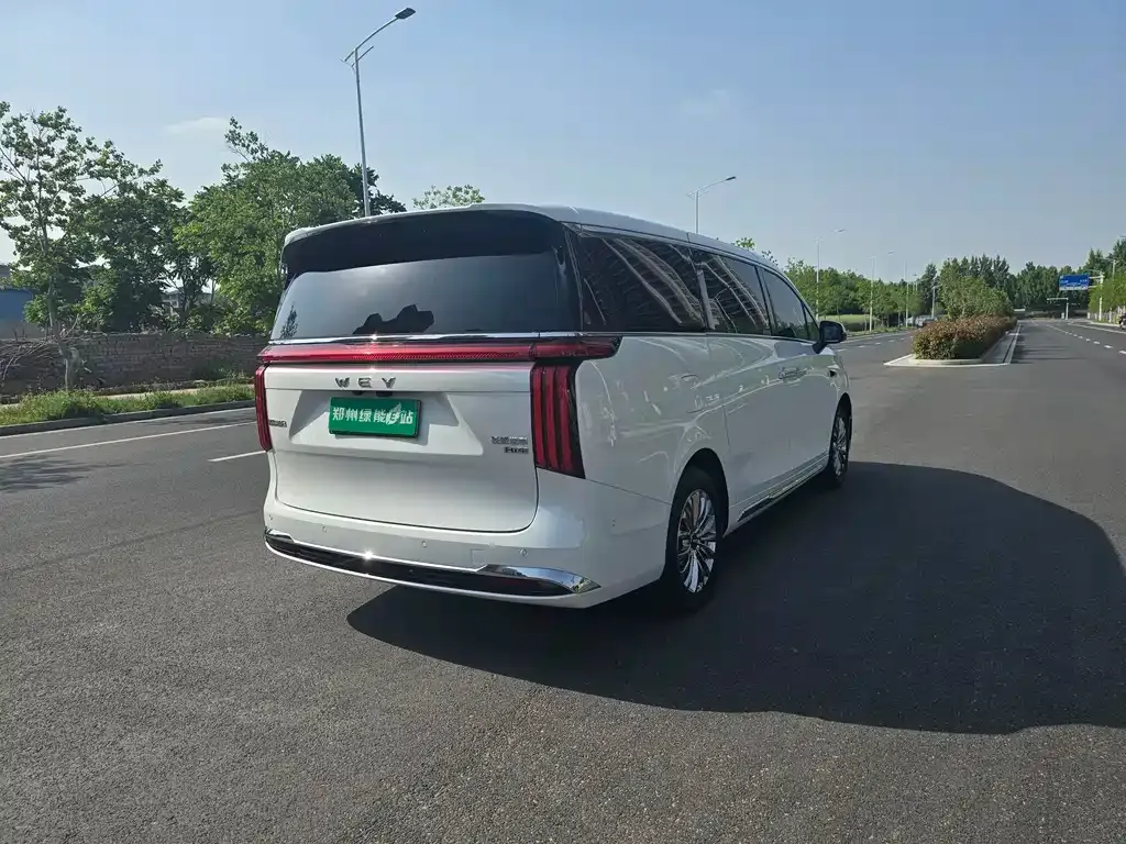 Wey Gaoshan 2025 из CN, фото 6