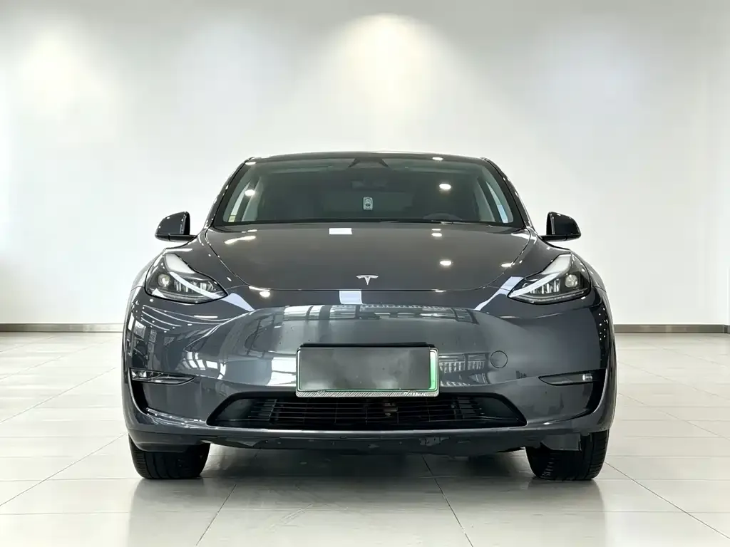 Tesla Model Y — фото 2
