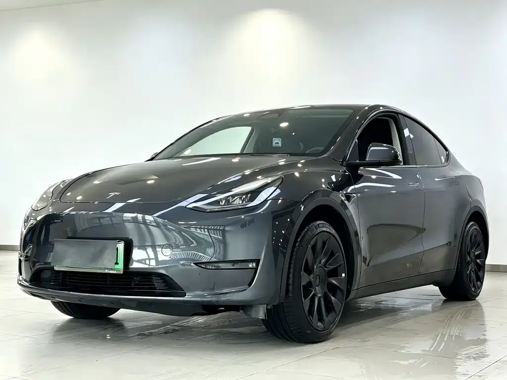 Tesla Model Y — фото 6