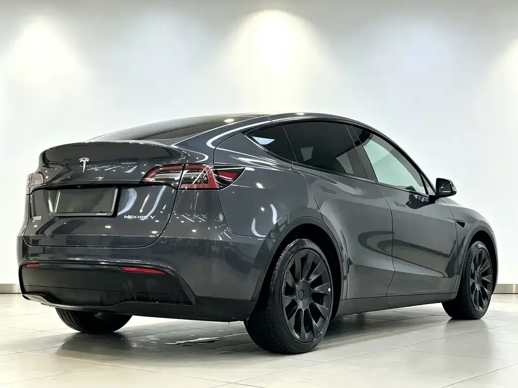 Tesla Model Y — фото 8