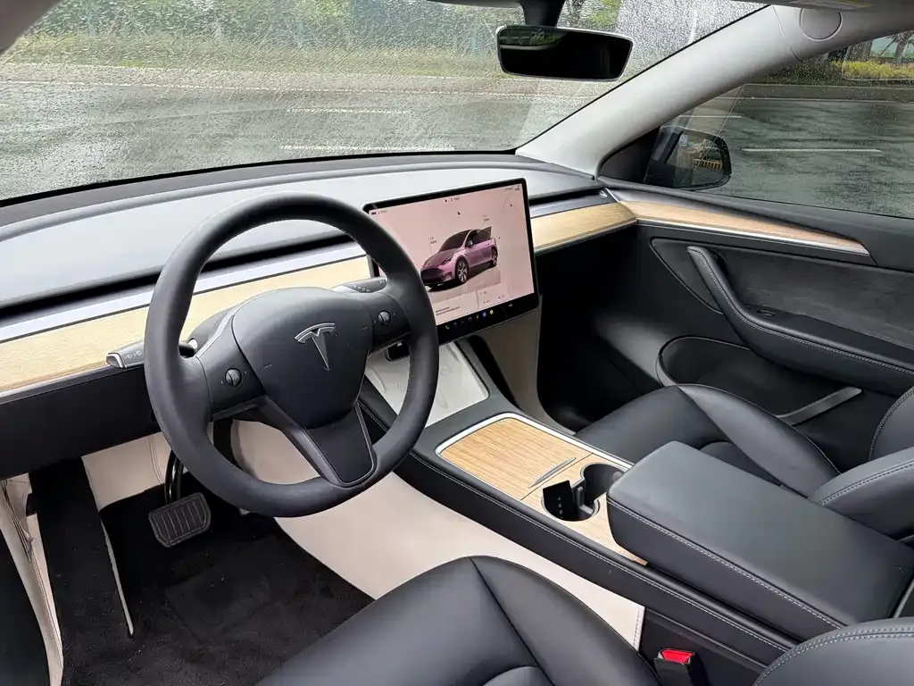 Tesla Model Y 2023 из CN, фото 2