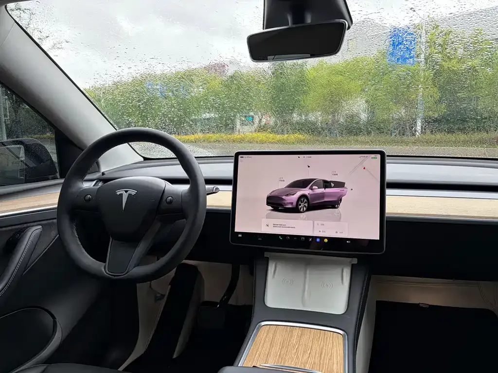 Tesla Model Y 2023 из CN, фото 5