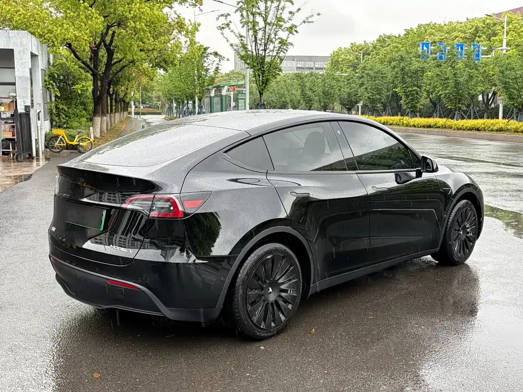 Tesla Model Y 2023 из CN, фото 6