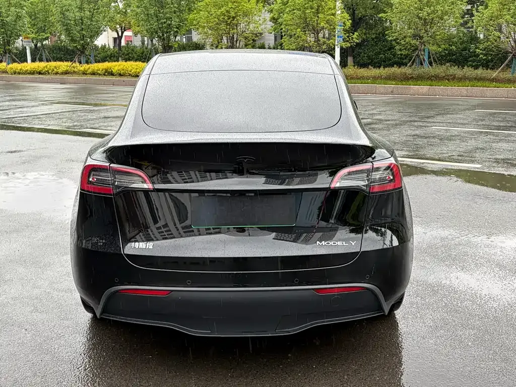 Tesla Model Y 2023 из CN, фото 9