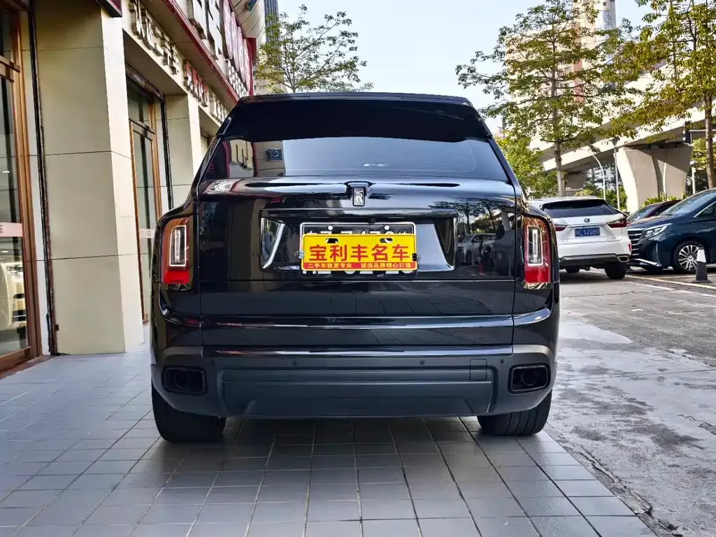 Rolls-Royce Cullinan 2021 из CN, фото 10