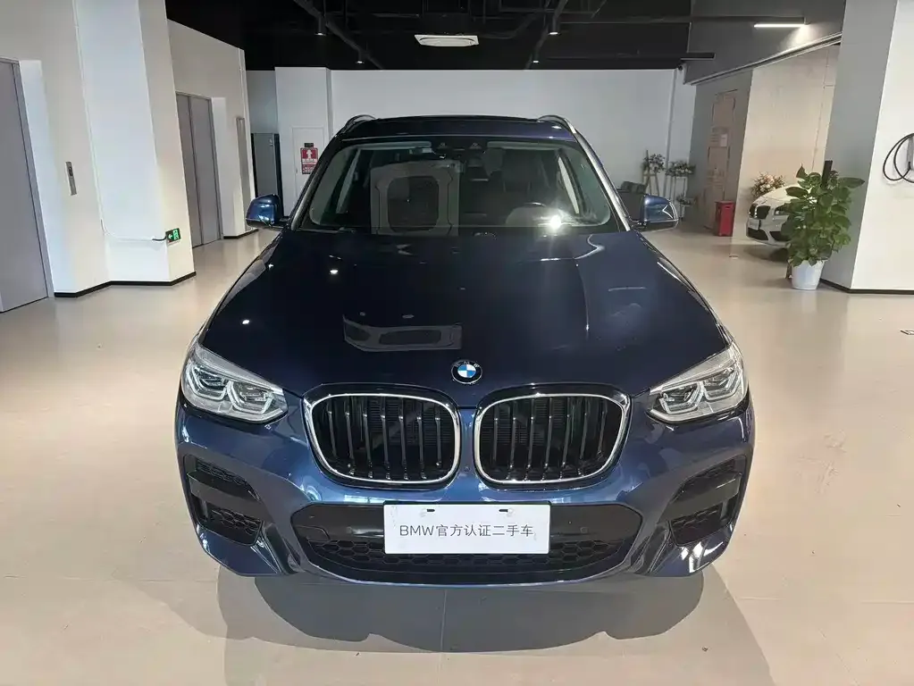 BMW X3 2021 из CN, фото 3