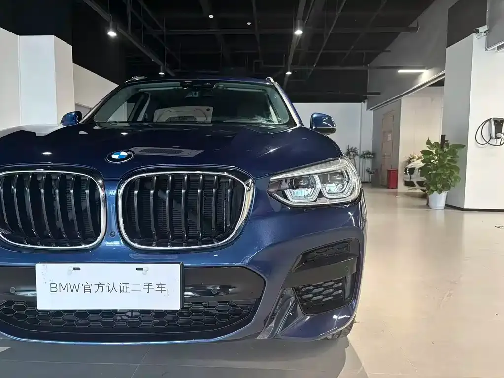 BMW X3 2021 из CN, фото 8