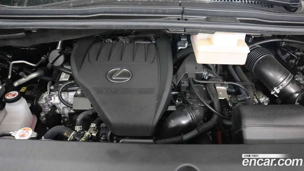 Lexus LM 2025 из KR, фото 7