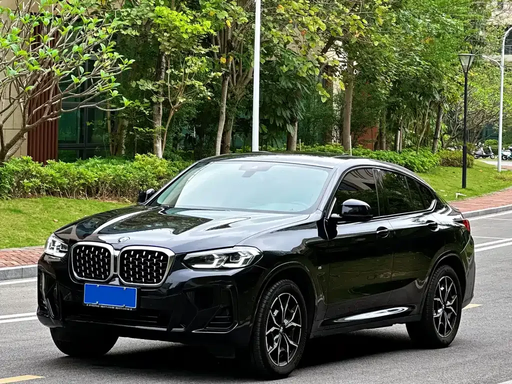 BMW X4 2022 из CN, фото 1