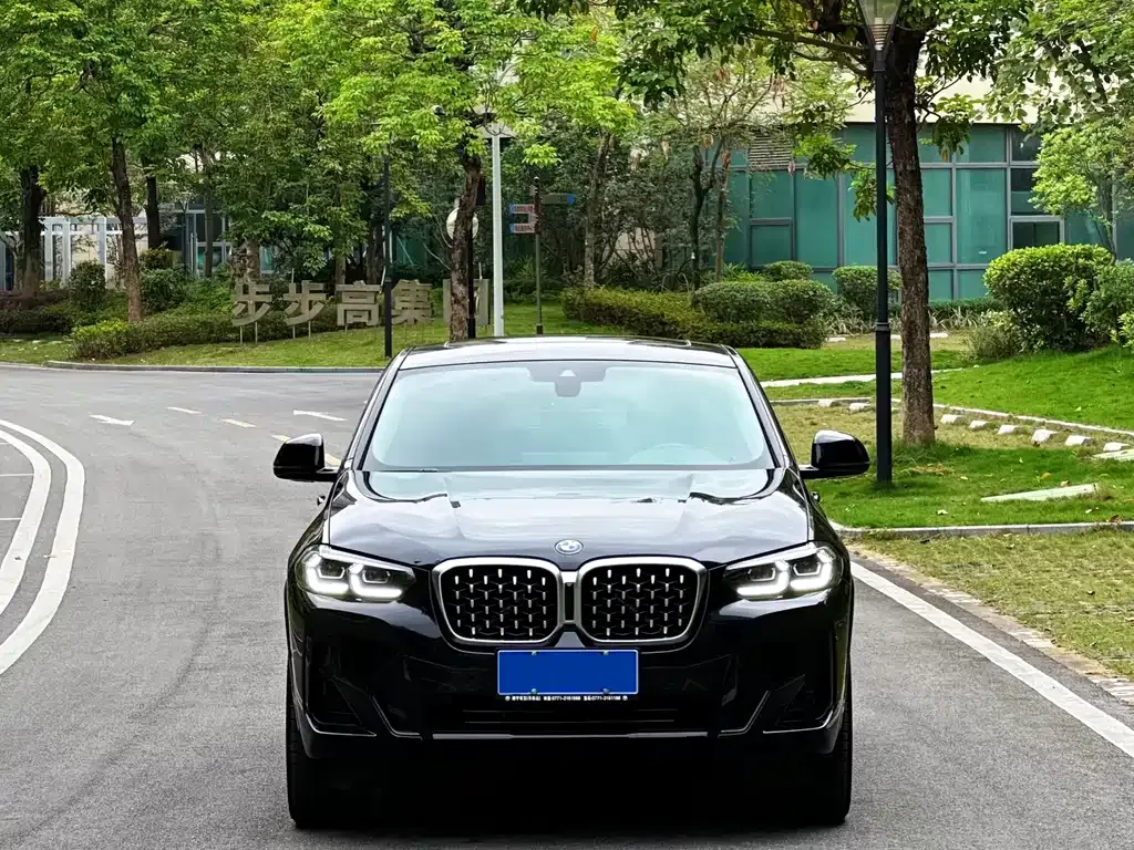 BMW X4 2022 из CN, фото 4