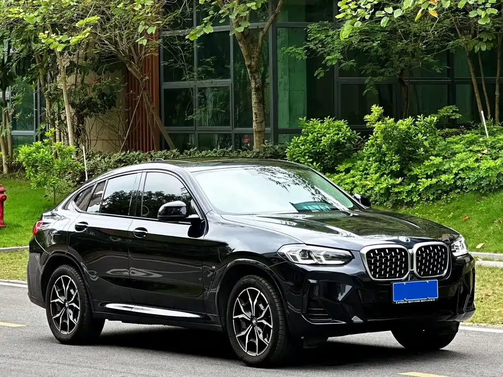 BMW X4 2022 из CN, фото 10