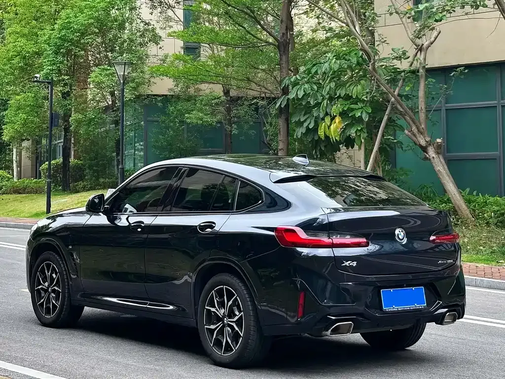 BMW X4 2022 из CN, фото 6