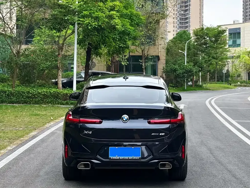 BMW X4 2022 из CN, фото 8