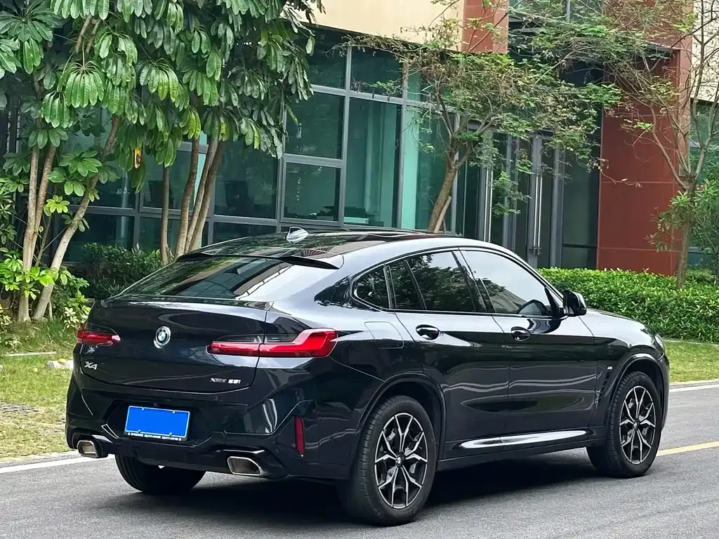 BMW X4 2022 из CN, фото 9