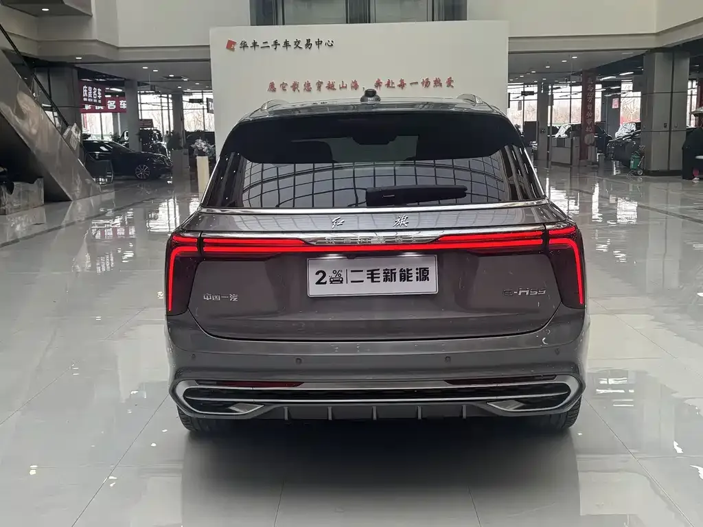 Hongqi E-HS9 — фото 5