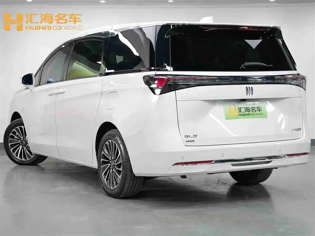 Buick GL8 Hybrid — фото 6
