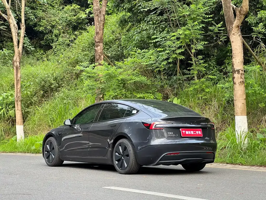 Tesla Model 3 2025 из CN, фото 9
