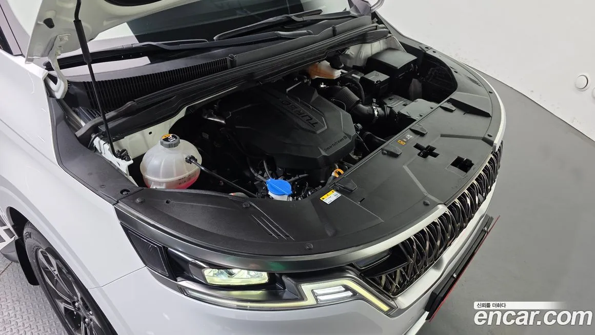 Kia Carnival — фото 10