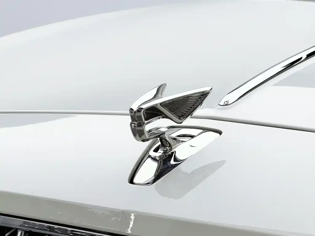Bentley Flying Spur 2023 из CN, фото 6