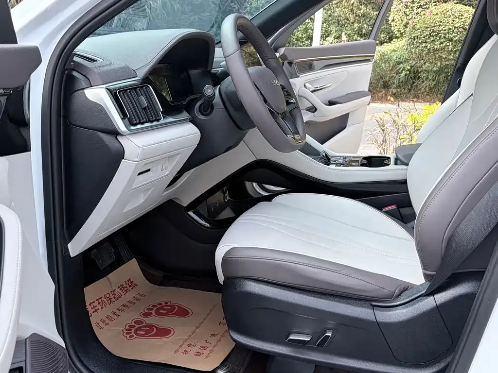 BYD PLUS New Energy 2024 из CN, фото 10