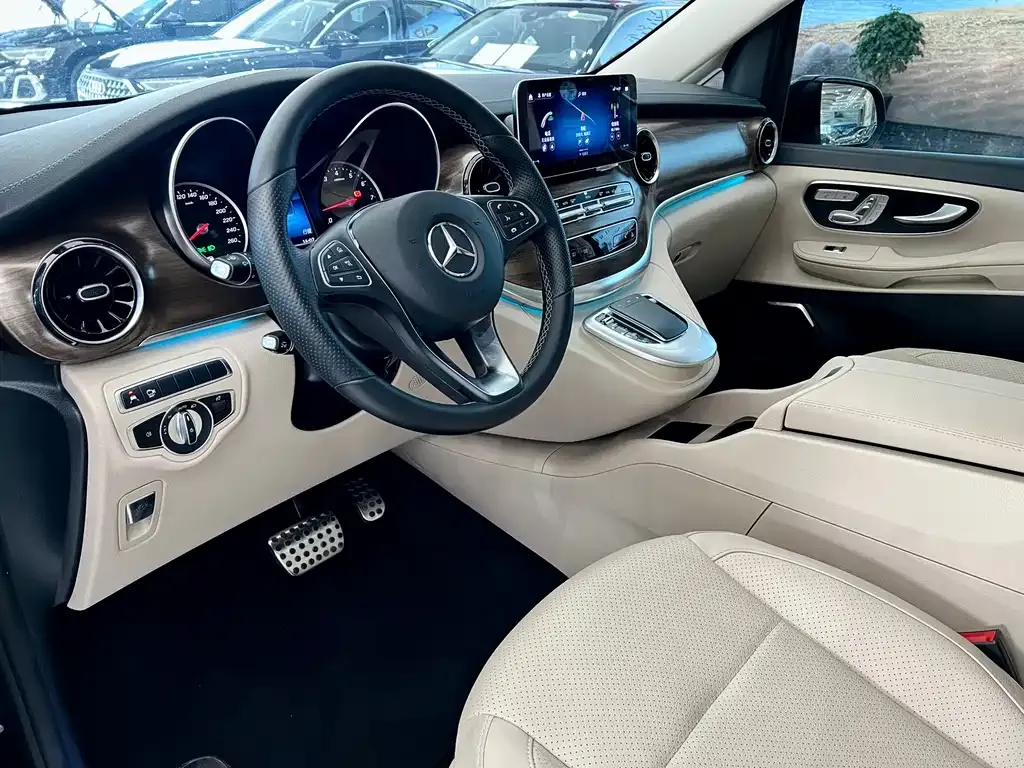 Mercedes-Benz V-Class 2021 из CN, фото 10
