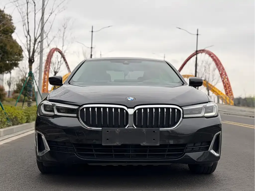 BMW 5 Series New Energy — фото 3