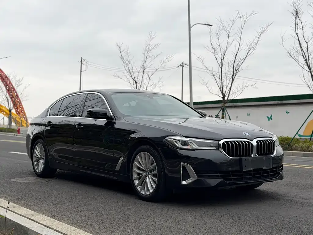 BMW 5 Series New Energy — фото 4