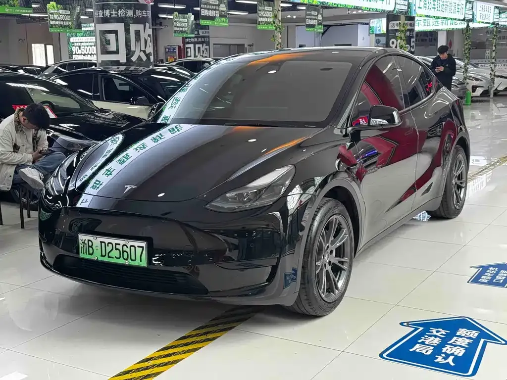 Tesla Model Y — фото 1