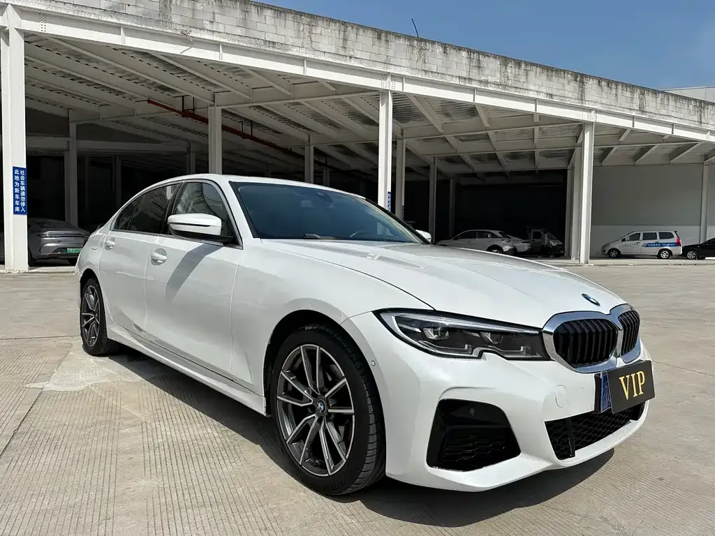 BMW 3 Series 2021 из CN, фото 9